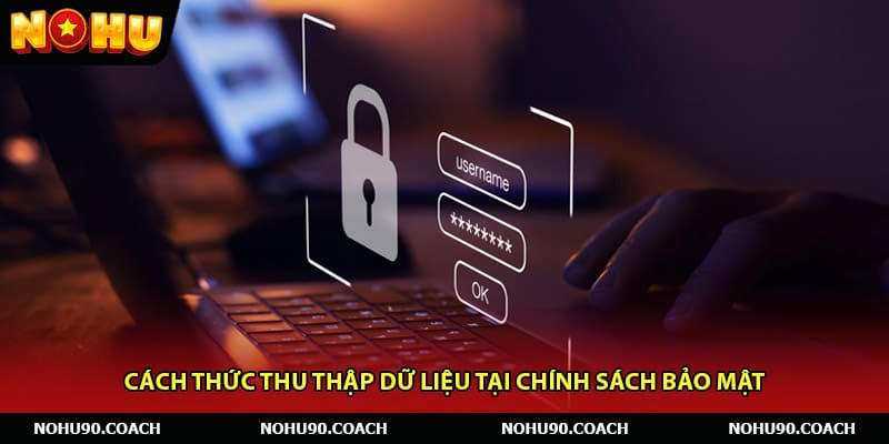 Các loại dữ liệu thường được thu thập